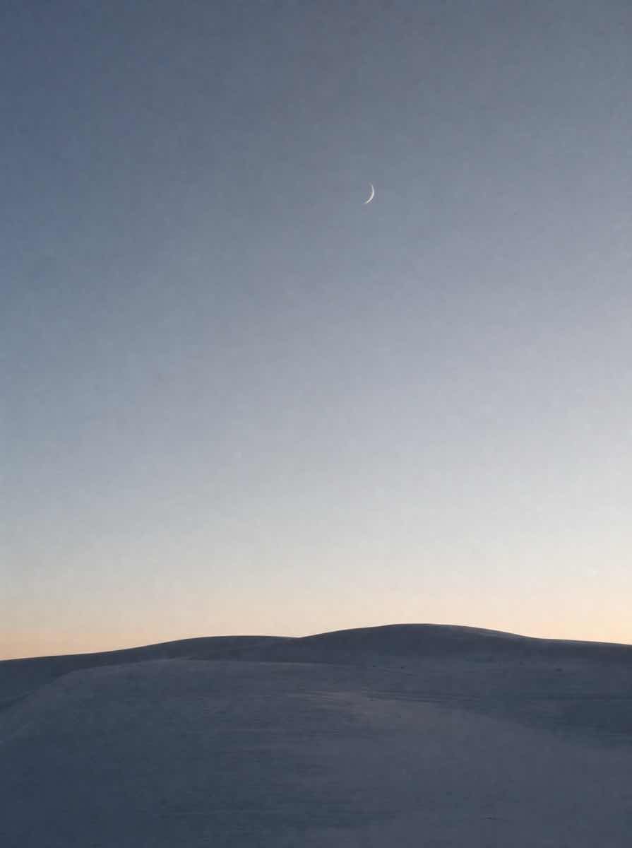 Una llanura de grava frente a un mar de dunas al amanecer, con una figura diminuta caminando.