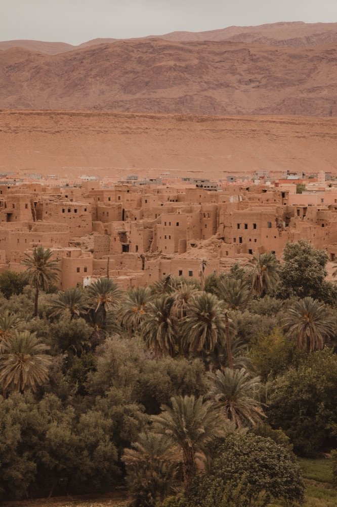 Kasbahs de adobe sobre un palmeral denso, con la montaña detrás.
